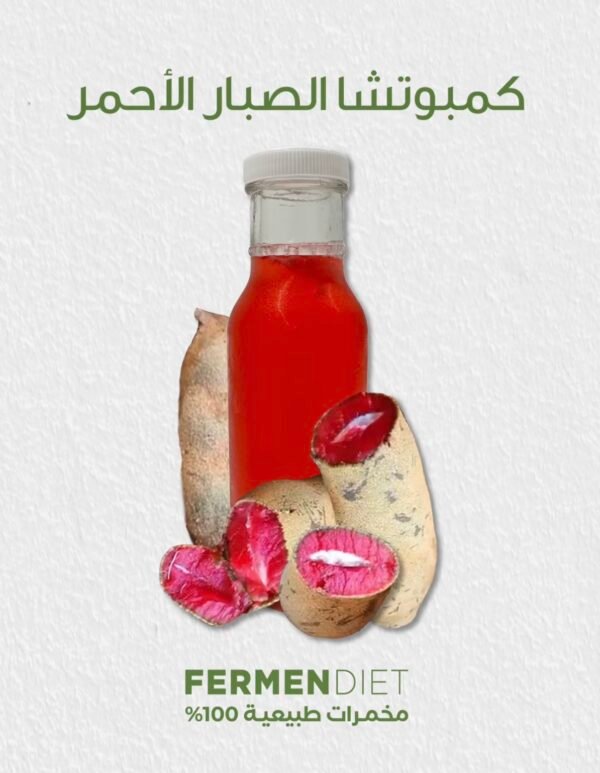FERMENDIET Red Tamarind Kombucha 100 ml